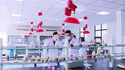 以十九屆六中全會精神為指引，加快推進科技創新，提升核心競爭力——聚焦生物飼料研發